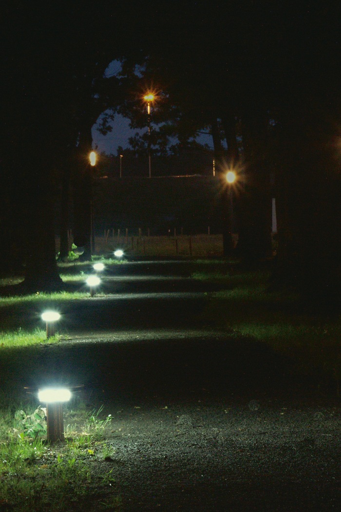 Senda peatonal en High Tech Campus, alumbrada con la iluminación para exteriores de Philips para aumentar la seguridad por la noche