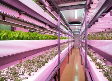 Menor riesgo de contaminación de los alimentos