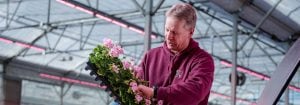 Un productor reduce la mano de obra gracias a la iluminación LED superior de Philips